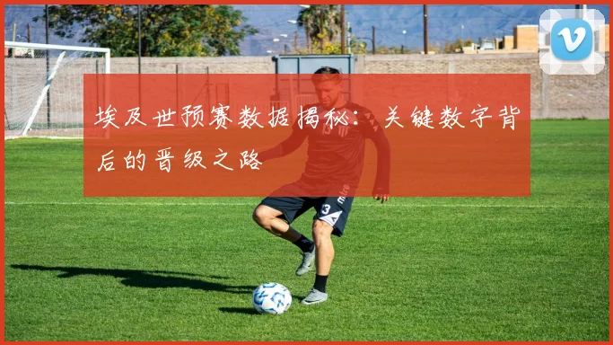 埃及世预赛数据揭秘：关键数字背后的晋级之路